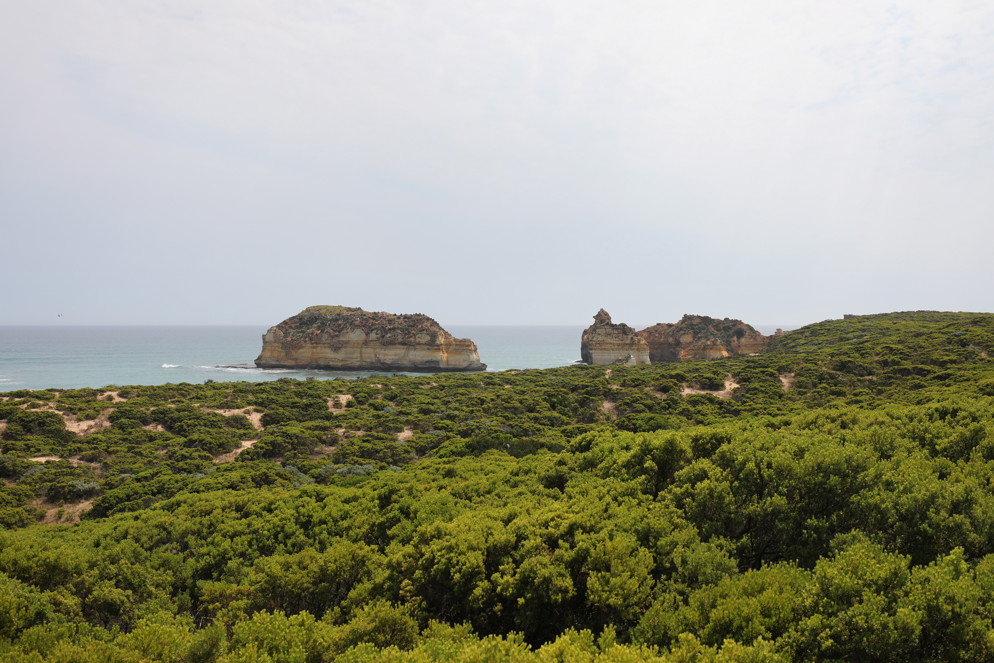 2019 12 17 15 17 42 Canon EOS 5D Mark IV 0026